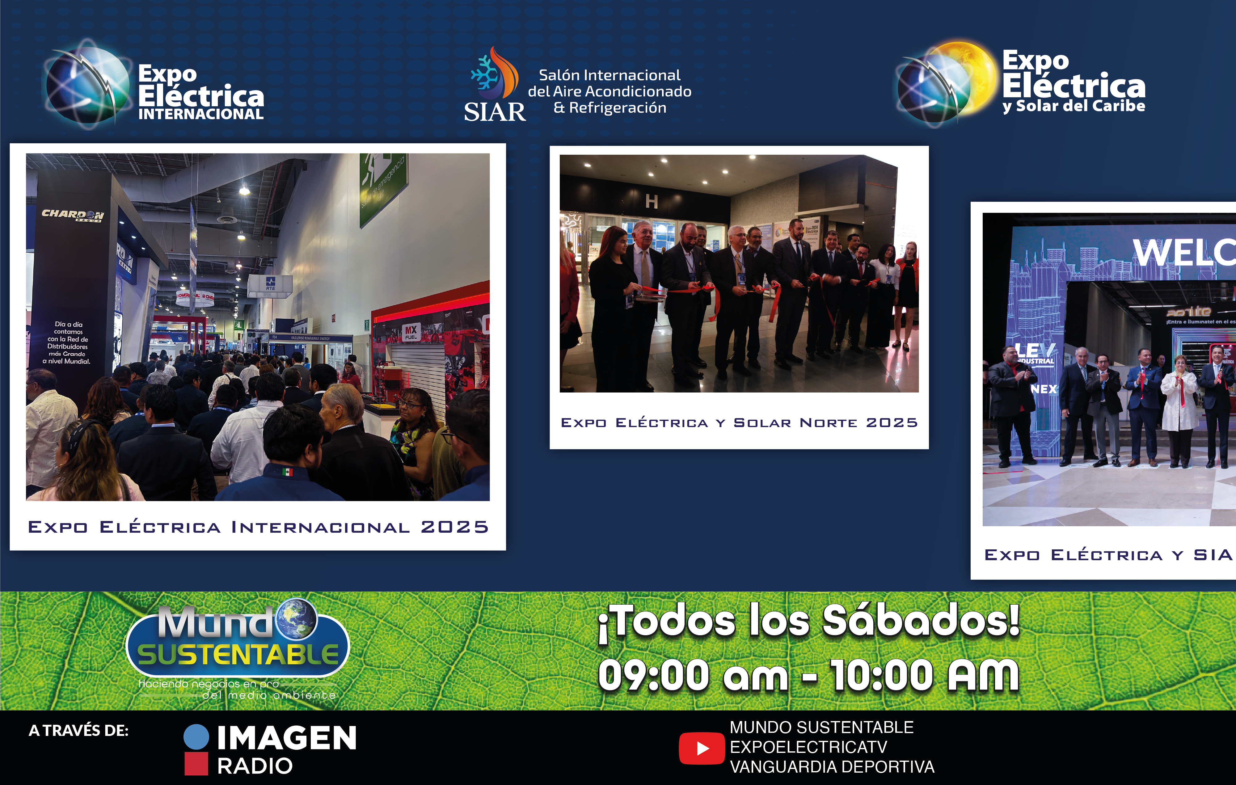 Expo Eléctrica Internacional Visitantes