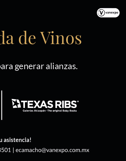 Expo Eléctrica Internacional Visitantes